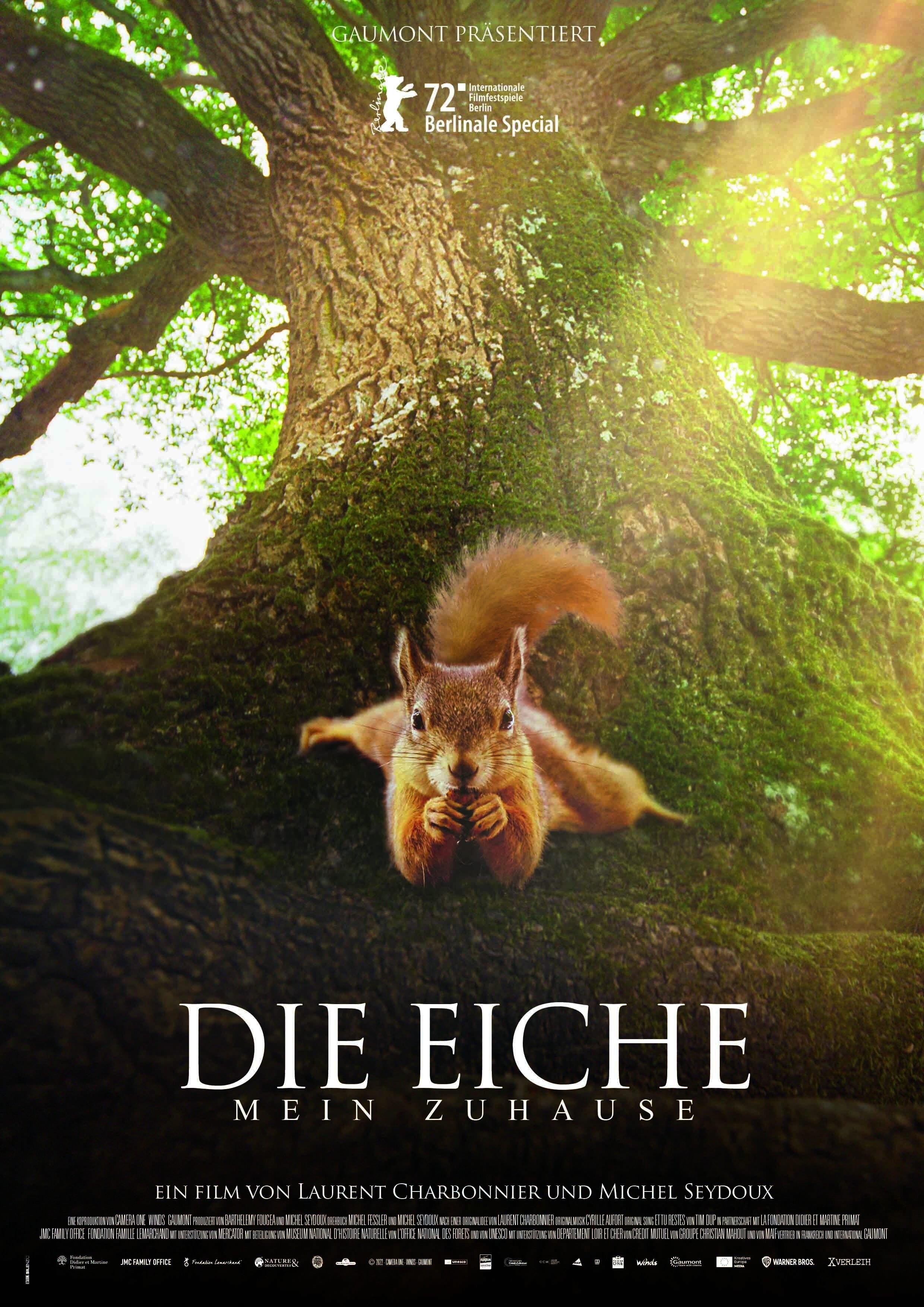 Die Eiche - Mein Zuhause