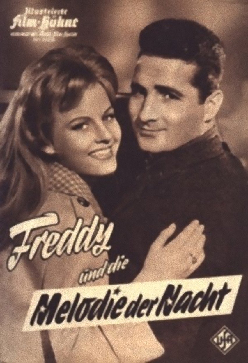 Freddy und die Melodie der Nacht