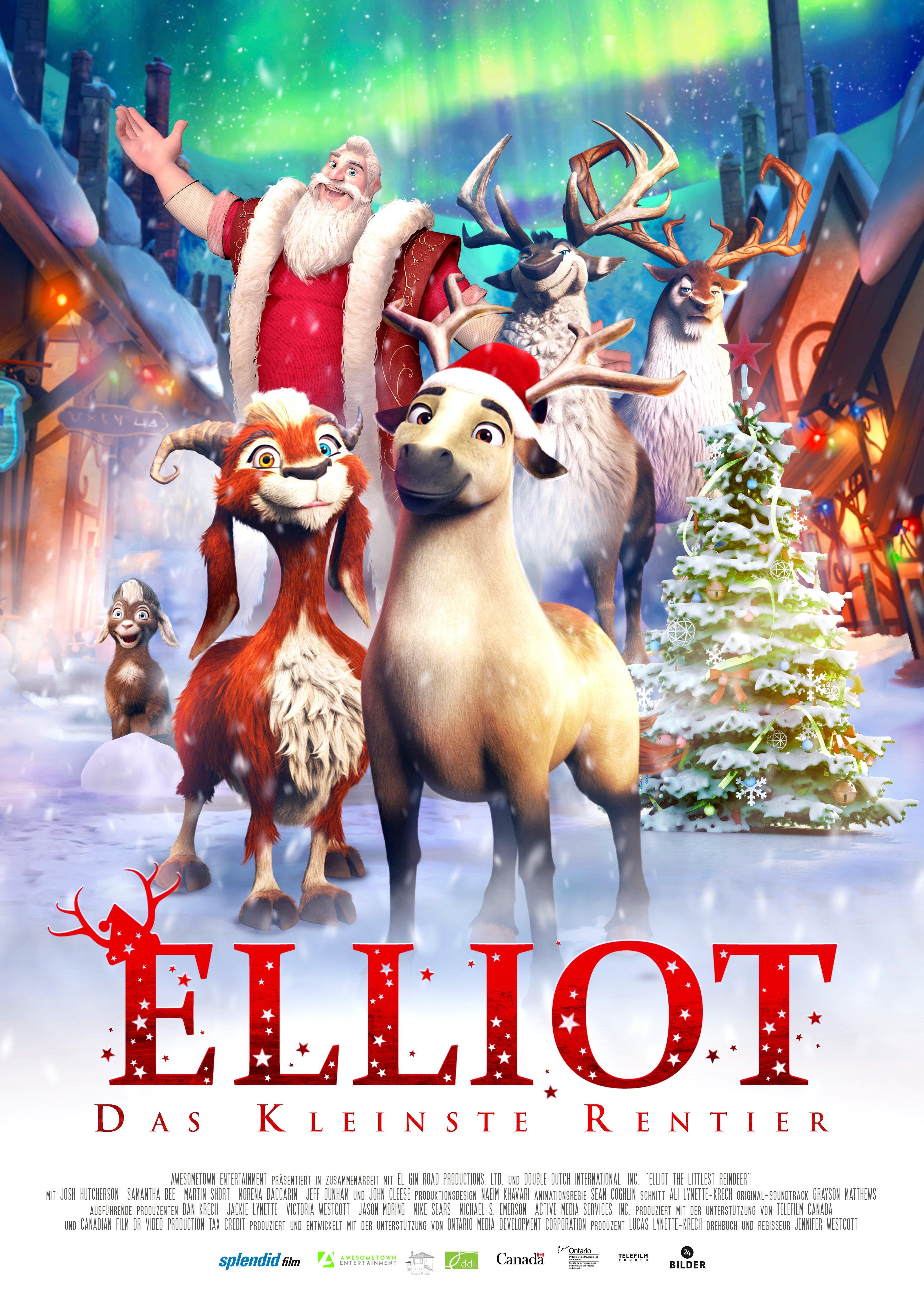 Elliott, das kleinste Rentier